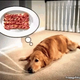 Illustration for article titled Bacon? Bacon!